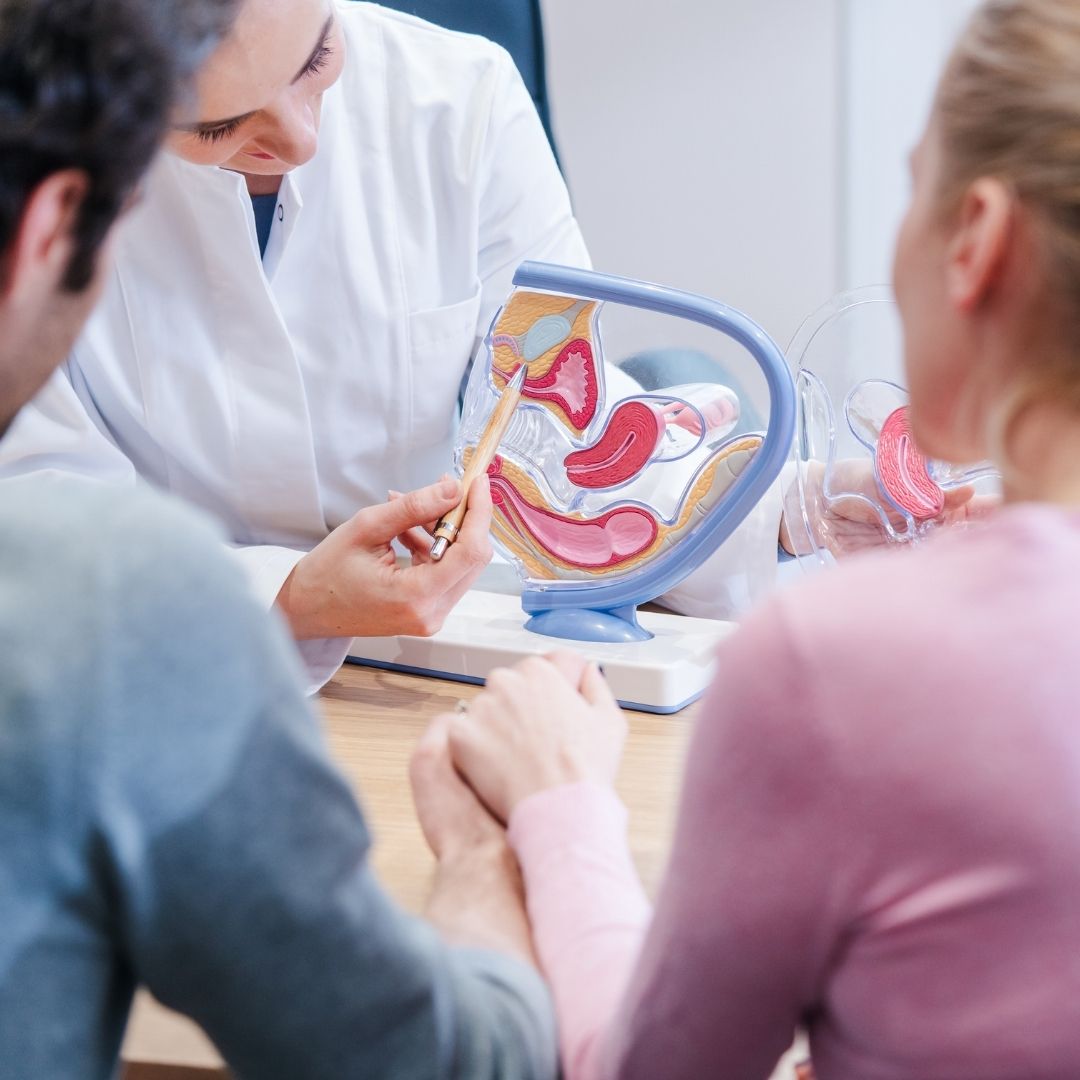 Tentantes e Fertilidade